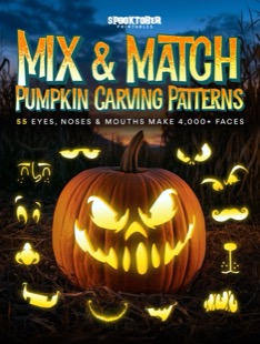 Mix & Match Pumpkin Carving Stencils: 55 Eyes, Noses and Mouths, paperback pattern book cover